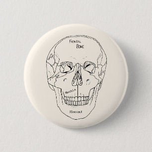 Schädelknochen - gekennzeichnet button