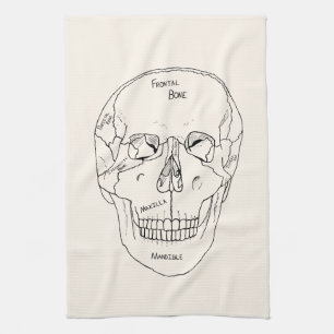Schädelknochen - gekennzeichnet geschirrtuch