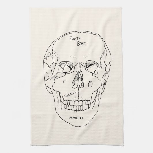 Schädelknochen - gekennzeichnet geschirrtuch (Vertikal)