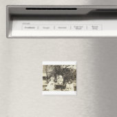 Schädelmagnet Magnet (In Situ (Geschirrspüler))