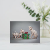 SCHÄDLINGE DER KATZE FEIERTAGSPOSTKARTE (Stehend Vorderseite)