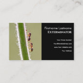 Schädlingsbekämpfer für Ameisen-Termiten-Kontrolle Visitenkarte (Rückseite)