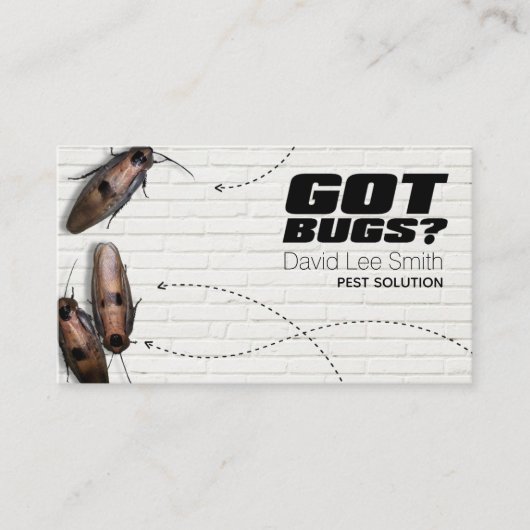 Schädlingslösung Visitenkarte (Vorderseite)