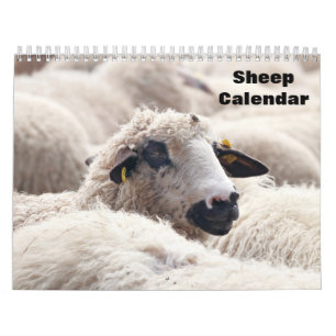 Schaf 2027 Kalender