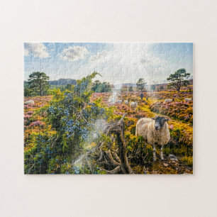 Schaf auf Heide mit Wacholderbaum Puzzle