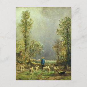 Schaf beim Sturm Postkarte