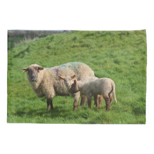 Schaf-Familie Kissenbezug