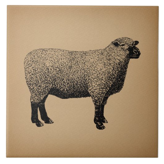 Schaf Illustration Vintage Kunst Fliese (Vorderseite)