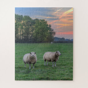 Schaf im Feld mit Sonnenuntergang Puzzle