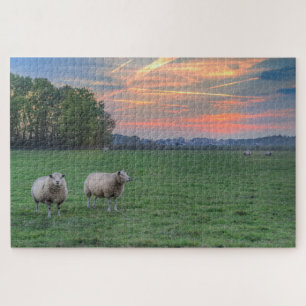 Schaf im Feld mit Sonnenuntergang Puzzle