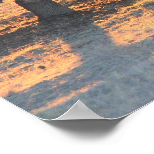 Schaf im texanischen Sonnenuntergang, Zitat von Ko Poster (Ecke)