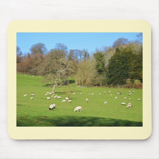 Schaf im Winter sonnig Mousepad (Vorne)