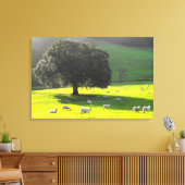 Schaf in der Morgensonne Leinwanddruck (Insitu (Wohnzimmer))