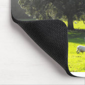 Schaf in der Morgensonne Mousepad (Ecke)