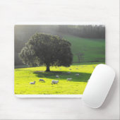 Schaf in der Morgensonne Mousepad (Mit Mouse)