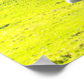 Schaf in der Morgensonne Poster (Ecke)