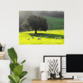 Schaf in der Morgensonne Poster (Heimbüro)