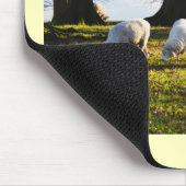 Schaf in der Wintersonne Mousepad (Ecke)