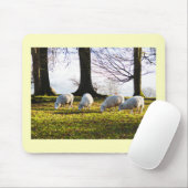 Schaf in der Wintersonne Mousepad (Mit Mouse)