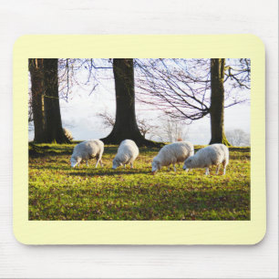 Schaf in der Wintersonne Mousepad