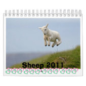 Schaf-Kalender Kalender (Titelbild)