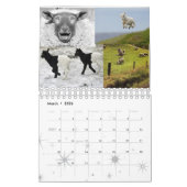 Schaf-Kalender Kalender (Mär 2026)