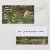 Schaf-Lamm-RAM-Vieh-Ranch Visitenkarte (Vorne/Hinten)