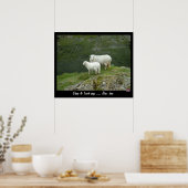 Schaf & Lamm sagt Baa, Baa (Poster) Poster (Küche)
