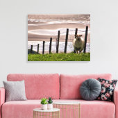 SCHAF LEINWANDDRUCK (Insitu (Wohnzimmer))