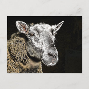 SCHAF POSTKARTE