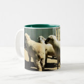 Schaf-Schale Zweifarbige Tasse (Vorderseite Links)