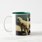 Schaf-Schale Zweifarbige Tasse (Links)