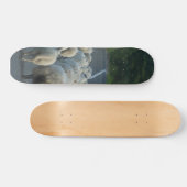 Schaf-Straßen-Lämmer Skateboard (Horizontal)