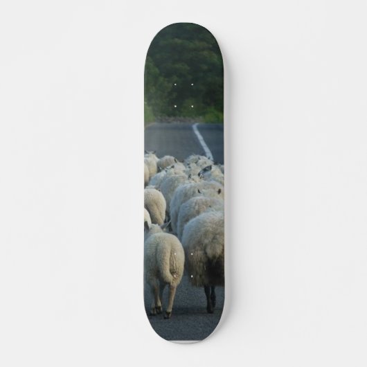 Schaf-Straßen-Lämmer Skateboard (Vorne)