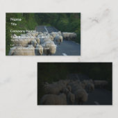 Schaf-Straßen-Lämmer Visitenkarte (Vorne/Hinten)