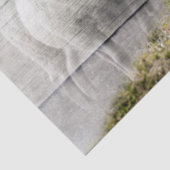 Schaf- und Baby-Lamm Seidenpapier (Detail)