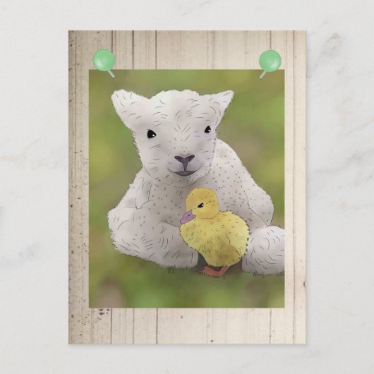 Schaf und Küken Postkarte (Vorderseite)