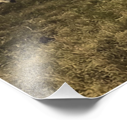 Schaf und Löwen in Harmonie Fotodruck (Ecke)