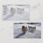 Schaf-und Ziegen-im April Schnee Visitenkarte (Vorne/Hinten)