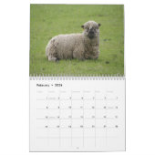 Schaf-Wandkalender Kalender (Feb 2026)
