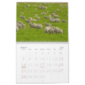Schaf-Wandkalender Kalender (Mär 2027)