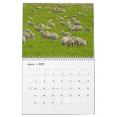 Schaf-Wandkalender Kalender (Mär 2027)