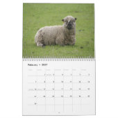 Schaf-Wandkalender Kalender (Feb 2027)