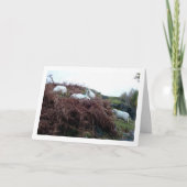 Schafe auf dem Berg Karte (Vorderseite)