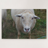 Schafe auf dem Feld Puzzle (Horizontal)