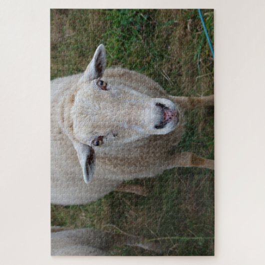 Schafe auf dem Feld Puzzle (Vertikal)