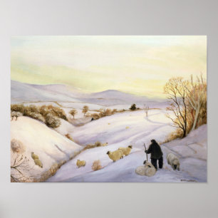 Schafe auf der Kante Poster