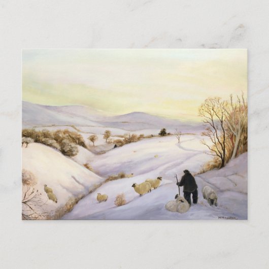 Schafe auf der Kante Postkarte (Vorderseite)