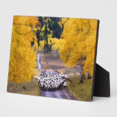 Schafe auf der Landstraße Fotoplatte (Seite)