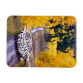 Schafe auf der Landstraße Magnet (Horizontal)